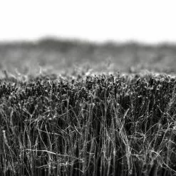 MUC-OFF 3x Brush Set -HERRECYKLER Butik 370 soft washing brush 7 1