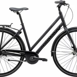 Black Winther 2 Dame