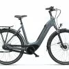Batavus Altura Power Plus