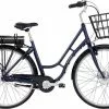 Raleigh Darlington Dame - El Cykel