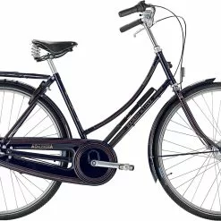 Raleigh Tourist De Luxe Dame 7g