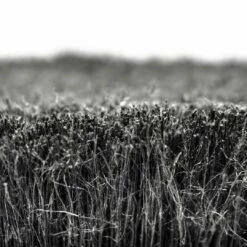 MUC-OFF 5x Brush Set 27 MUC-OFF 5x Brush Set -HERRECYKLER Butik 370 soft washing brush 7 1 1