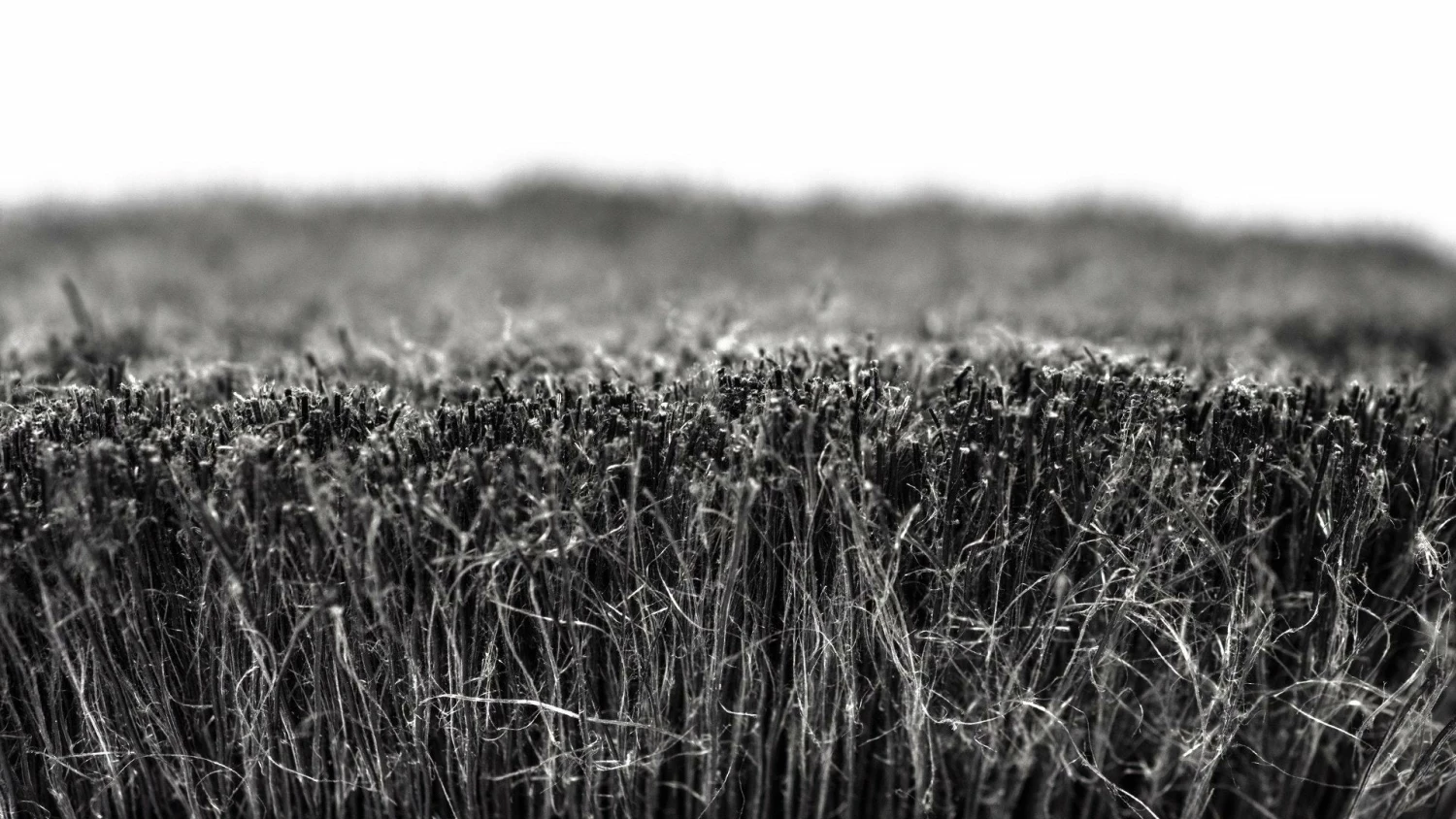 MUC-OFF 5x Brush Set 8 MUC-OFF 5x Brush Set - Billede 8