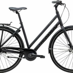 Black Winther 2 Dame