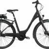 Black Winther Superbe 4 Dame - Mat Sort Elcykel