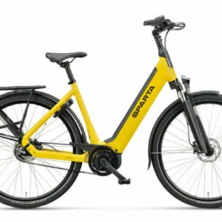 Sparta D-Rule Energy