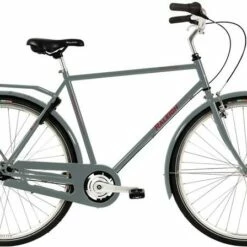 Raleigh Darlington Herre 7g