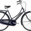 Raleigh Tourist De Luxe Dame 3g