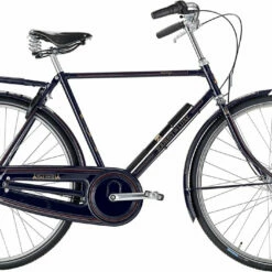 Raleigh Tourist De Luxe Herre 3g
